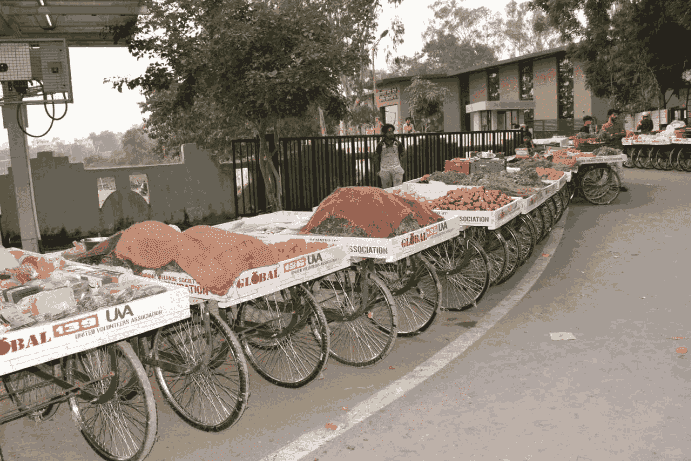 200 Carts Distribution Program Gallery 5